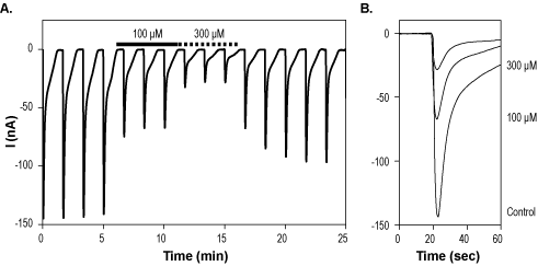 Talampanel