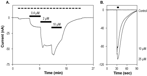 (RS)-(Tetrazol-5-yl)glycine