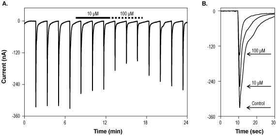 TCN 213