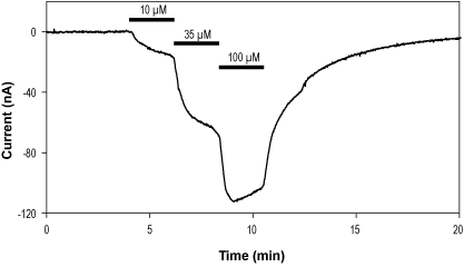 Tracazolate hydrochloride
