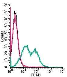 Anti-TMEM119 (extracellular) Antibody