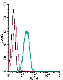 Anti-TMEM119 (extracellular)-FITC Antibody