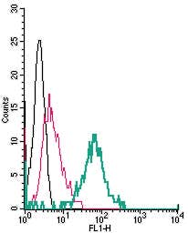 Anti-TRPV4 (extracellular)-FITC Antibody