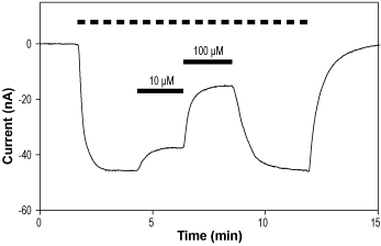 UBP 282