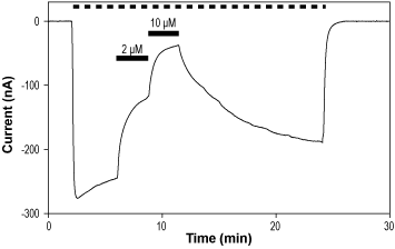 U 93631