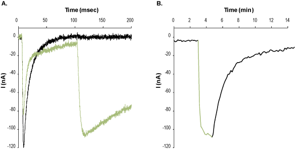Veratridine