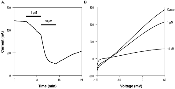 VU590 dihydrochloride