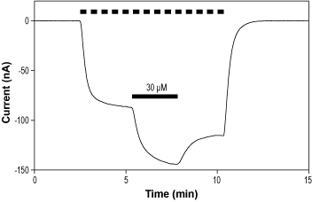 VU0529331