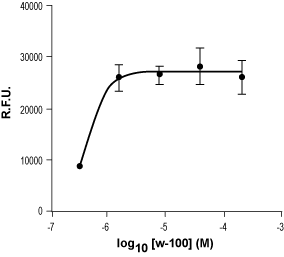 WS 3