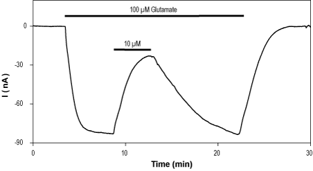 YM 90K hydrochloride