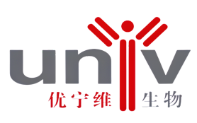 Shanghai Office