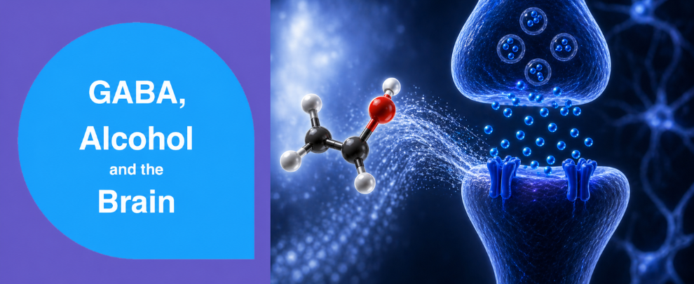 Gamma-aminobutyric acid (GABA)-mediated Effects of Alcohol on the Brain
