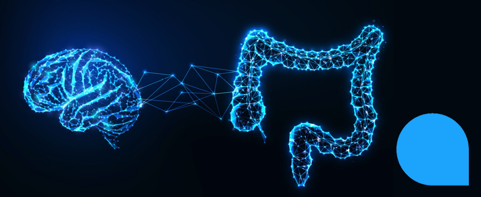 The Gut&rsquo;s Hidden Dimmer Switch: Macrophage P2Y12 Receptors and the Regulation of Enteric Nervous System Activity