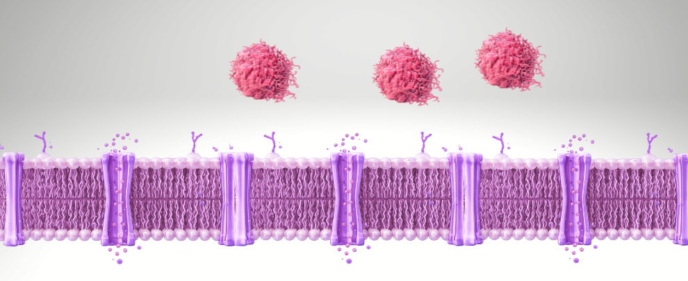 Transporters and Cancer