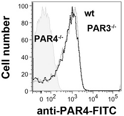 Anti-PAR4 (F2RL3) (extracellular)-FITC Antibody