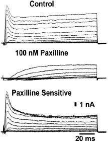 Paxilline