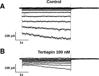 Tertiapin-Q