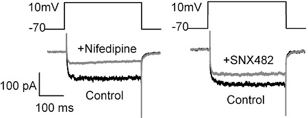 Nifedipine