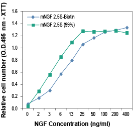 Alomone Labs mouse NGF 2.5S-Biotin promotes survival in PC12 cells.