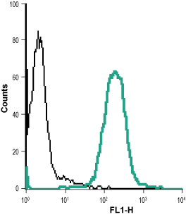 Cell surface detection of VPAC1 in live intact Jurkat (human T cell leukemia cells) cell line:
