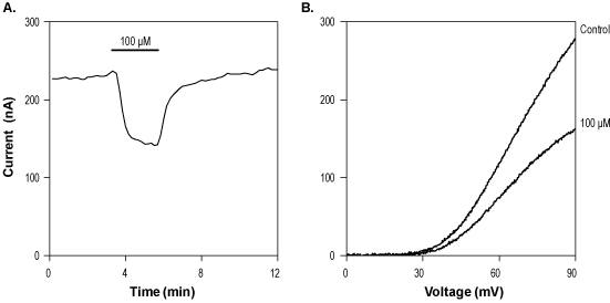 Alomone Labs Citalopram hydrobromide inhibits KV2.1 channels heterologously expressed in Xenopus oocytes.