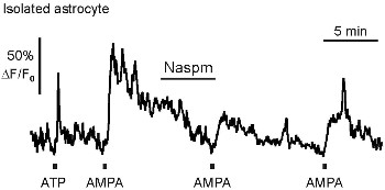 Naspm trihydrochloride