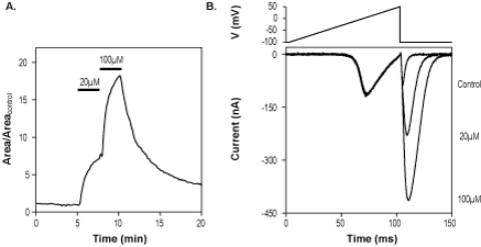 Alomone Labs GV-58 increases P/Q-type CaV channel tail currents expressed in Xenopus oocytes.