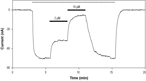 Alomone Labs PD-161989 2-hydroxyethanesulfonate inhibits GluA1 channels expressed in Xenopus oocytes. 