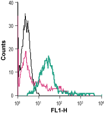 Cell surface detection of Ephrin-A2 in live intact human Jurkat T-cell leukemia cells: