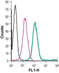 Cell surface detection of Sortilin in live intact human THP-1 monocytic leukemia cells: