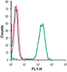 Cell surface detection of GPR37 in live intact human THP-1 monocytic leukemia cells: