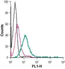 Cell surface detection of GPR56 in live intact human HL-60 promyelocytic leukemia cells: