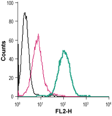 Cell surface detection of P2RX7 in live intact human THP-1 monocytic leukemia cells:
