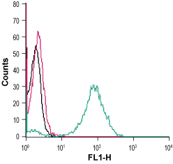 Cell surface detection of GPR55 in live intact human THP-1 monocytic leukemia cells: